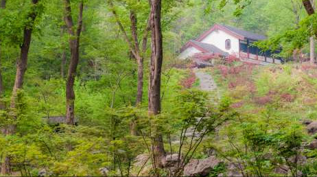 VIP中文人工讲解服务